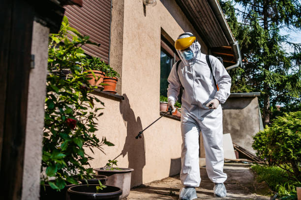 Best Wasp Removal Services  in Bowling Green, OH