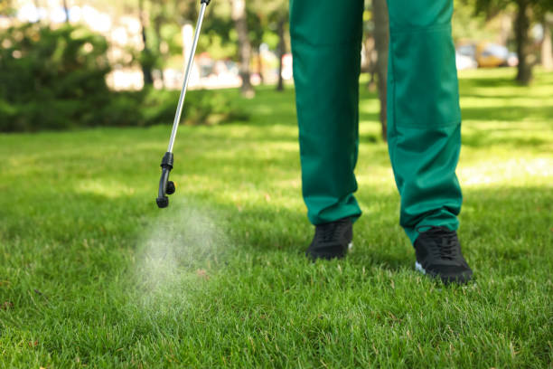 Best Emergency Pest Control  in Bowling Green, OH