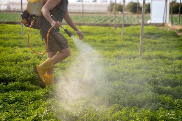 Reliable Bowling Green, OH Pest Control Solutions