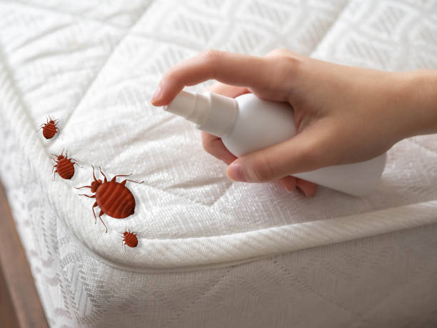 Best Commercial Pest Control Services  in Bowling Green, OH