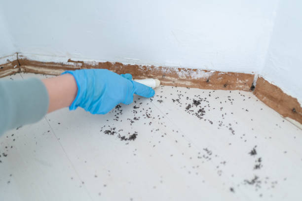 Best Mosquito Control Services  in Bowling Green, OH